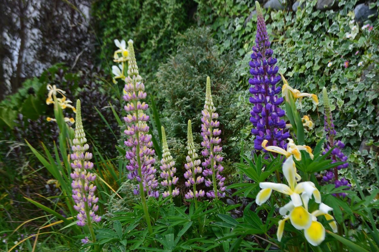 Colores Del Puerto Bed and Breakfast Puerto Montt Esterno foto